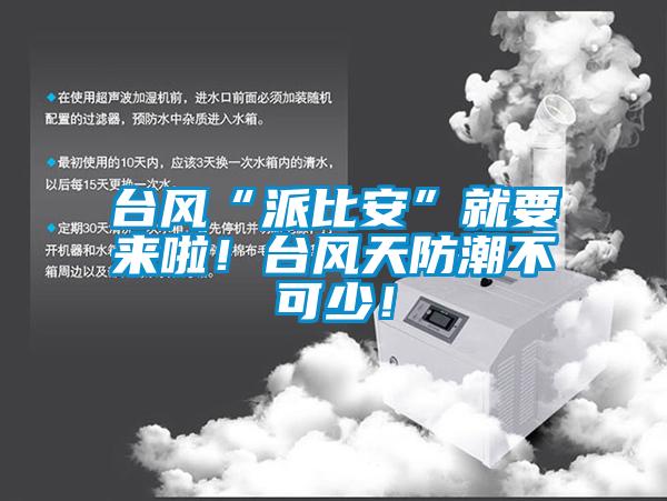 臺風(fēng)“派比安”就要來啦！臺風(fēng)天防潮不可少！