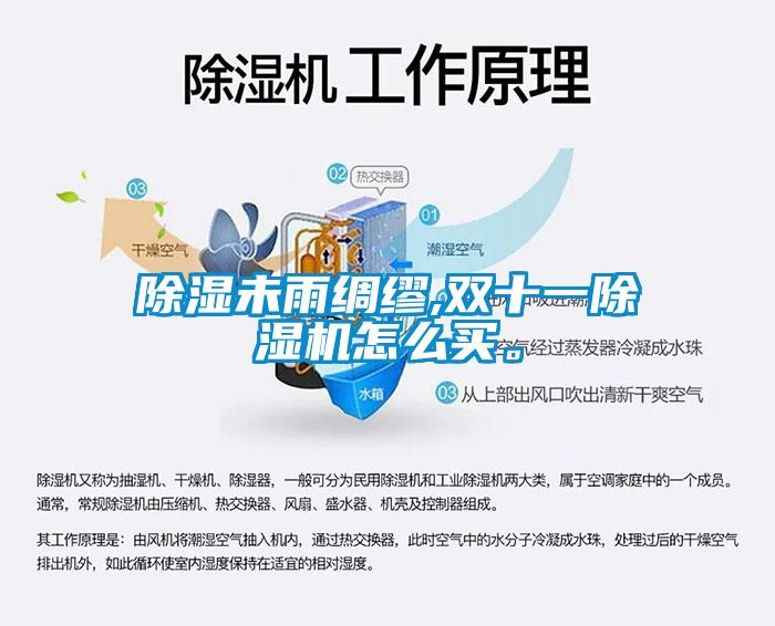 除濕未雨綢繆,雙十一除濕機怎么買。