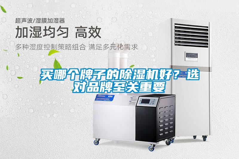 買哪個牌子的除濕機好？選對品牌至關重要