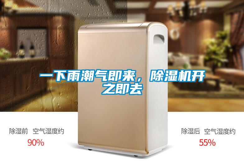 一下雨潮氣即來,除濕機開之即去