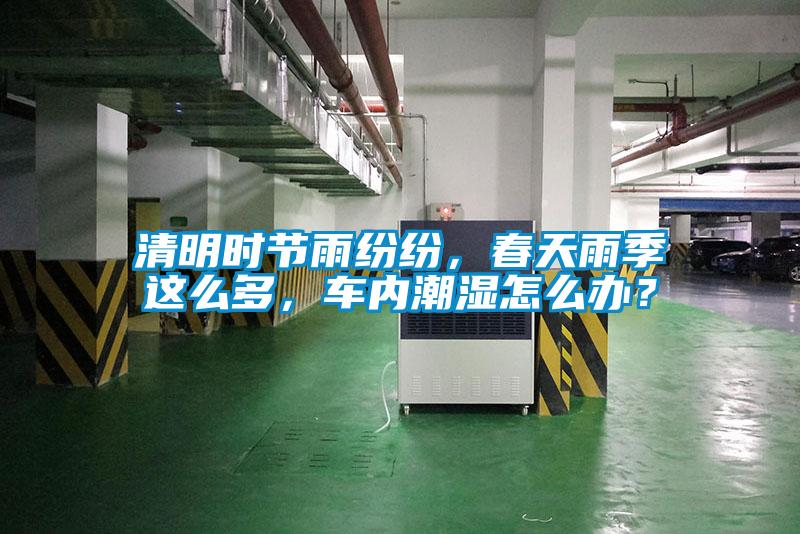 清明時節雨紛紛，春天雨季這么多，車內潮濕怎么辦？