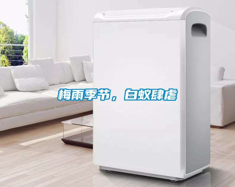 梅雨季節(jié)，白蟻肆虐