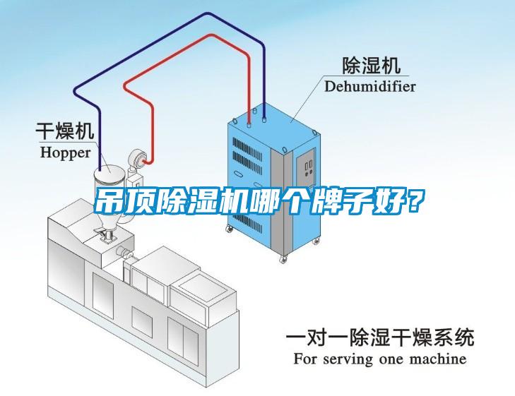 吊頂除濕機哪個牌子好？