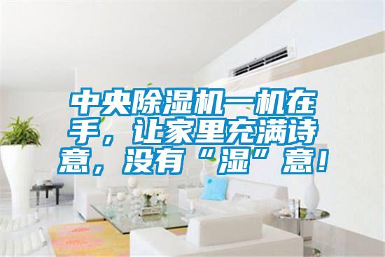 中央除濕機(jī)一機(jī)在手,讓家里充滿詩意,沒有“濕”意!