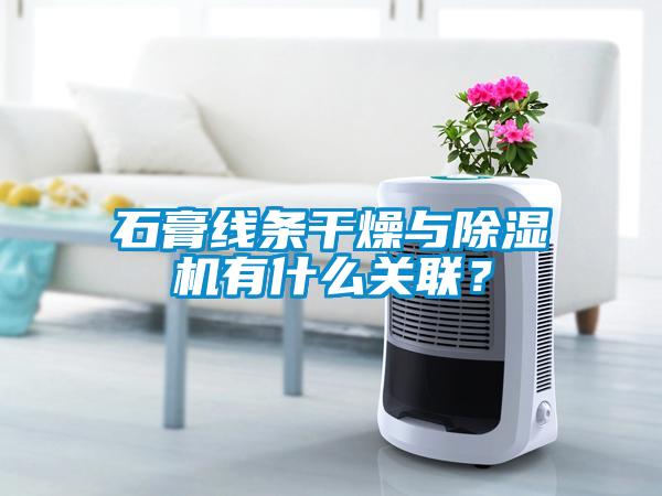 石膏線條干燥與除濕機有什么關聯？