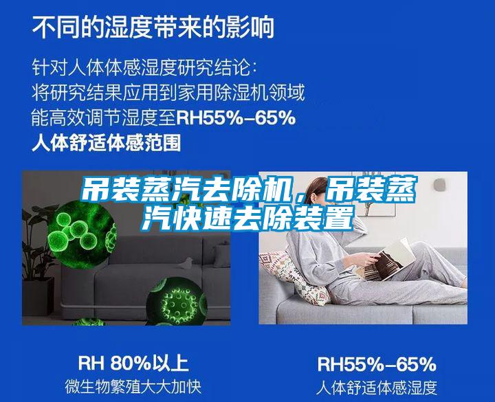 吊裝蒸汽去除機，吊裝蒸汽快速去除裝置