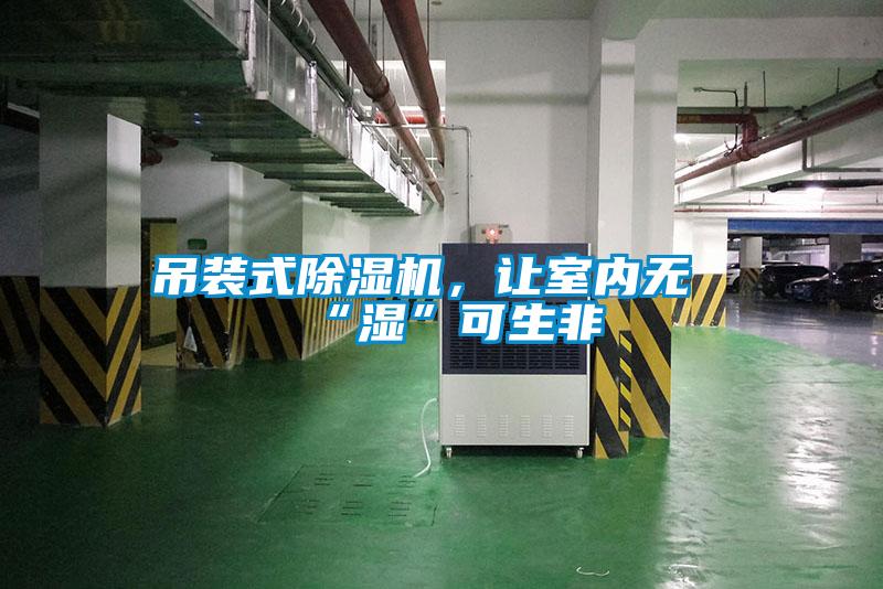 吊裝式除濕機，讓室內無“濕”可生非