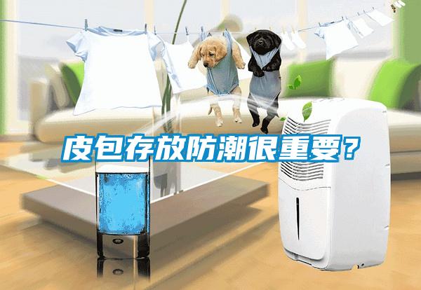 皮包存放防潮很重要？