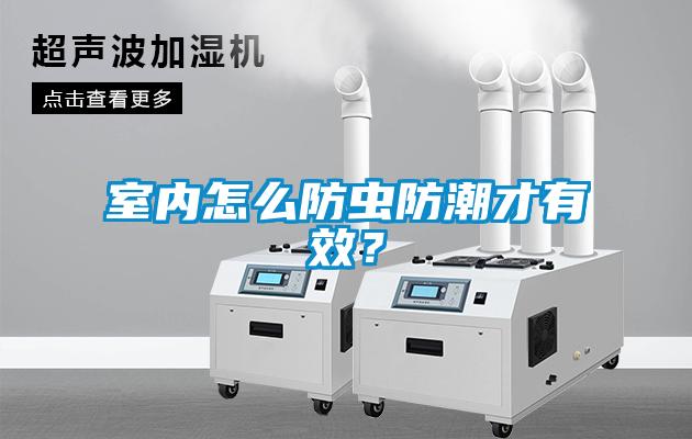 室內(nèi)怎么防蟲防潮才有效？
