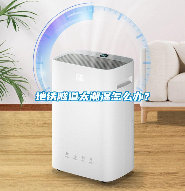 地鐵隧道太潮濕怎么辦？