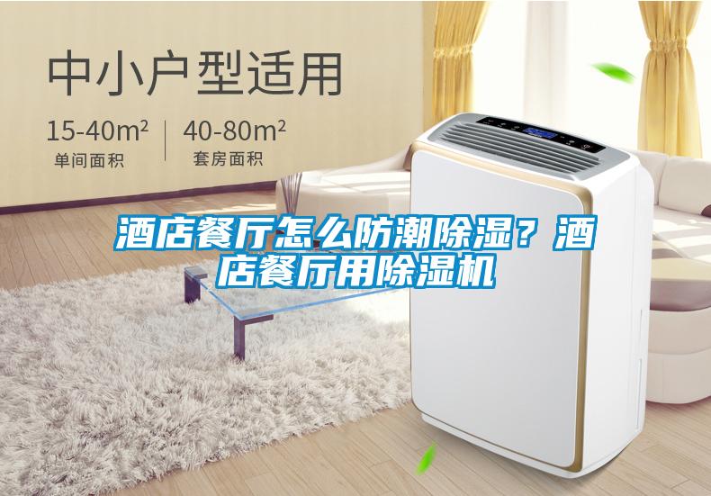 酒店餐廳怎么防潮除濕？酒店餐廳用除濕機