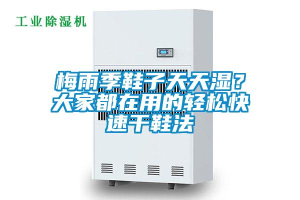 梅雨季鞋子天天濕？大家都在用的輕松快速干鞋法