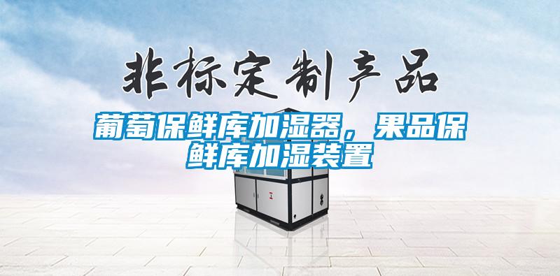 葡萄保鮮庫加濕器，果品保鮮庫加濕裝置