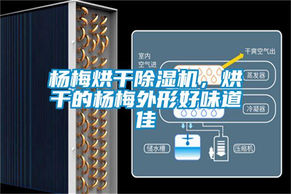 楊梅烘干除濕機，烘干的楊梅外形好味道佳