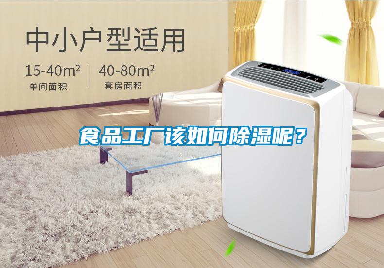 食品工廠該如何除濕呢？