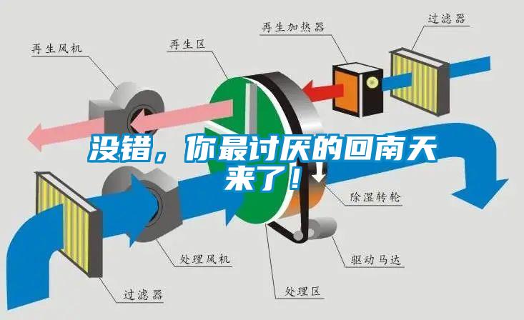 沒錯，你最討厭的回南天來了！