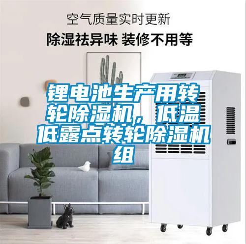 鋰電池生產用轉輪除濕機,低溫低露點轉輪除濕機組