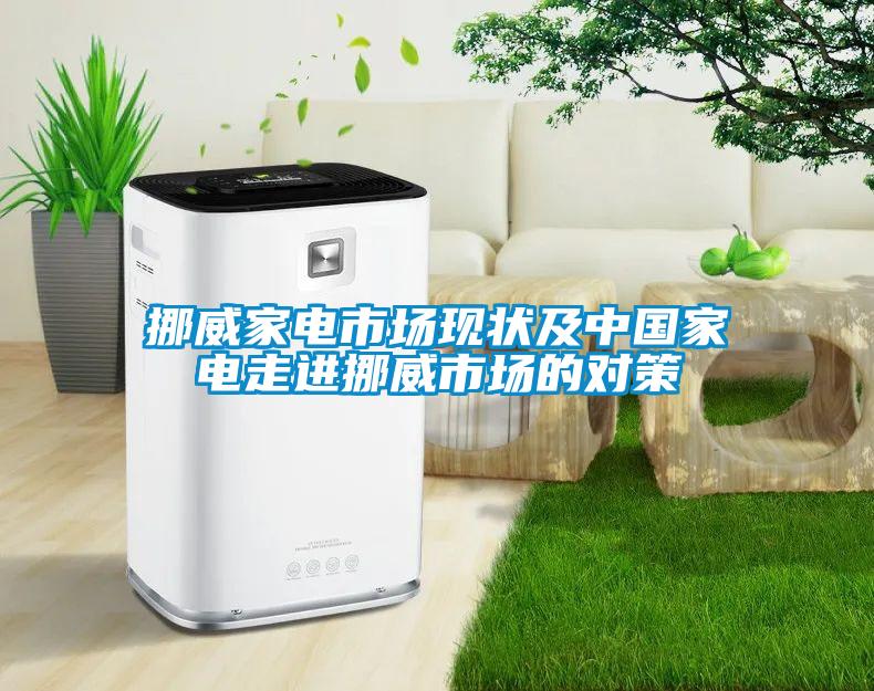 挪威家電市場現(xiàn)狀及中國家電走進(jìn)挪威市場的對(duì)策
