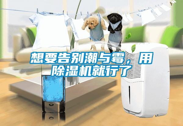 想要告別潮與霉，用除濕機就行了