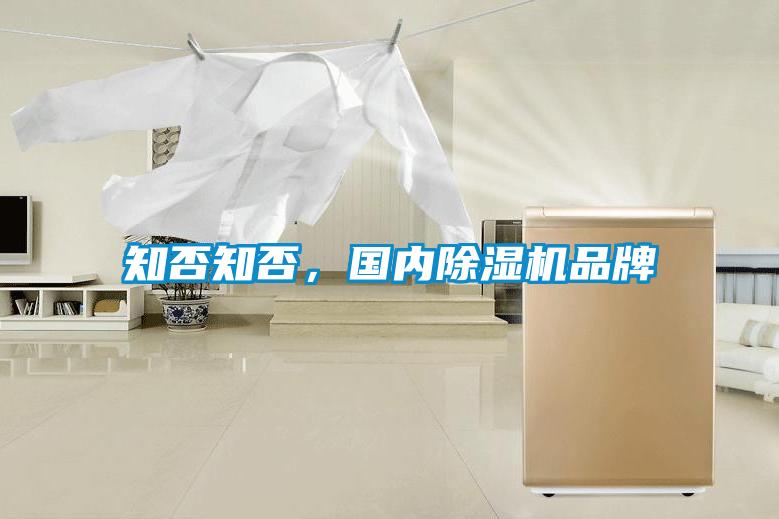 知否知否，國內除濕機品牌
