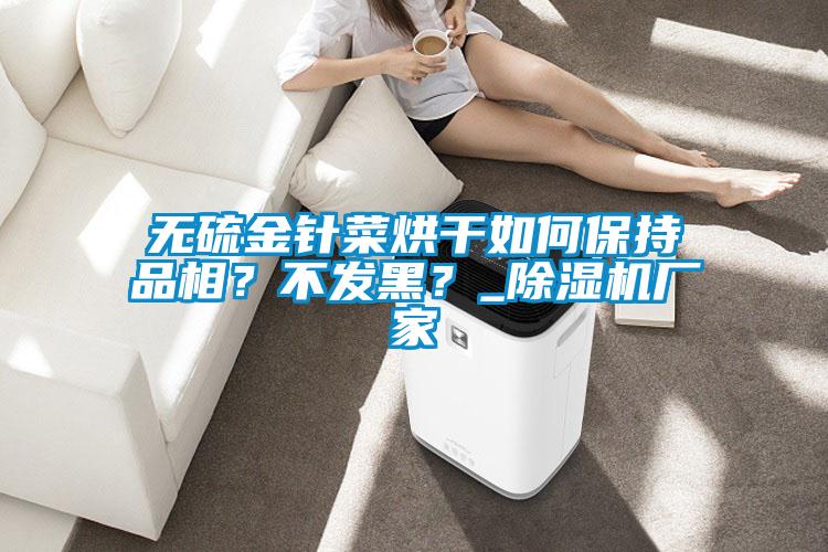 無硫金針菜烘干如何保持品相?不發(fā)黑?_除濕機(jī)廠家