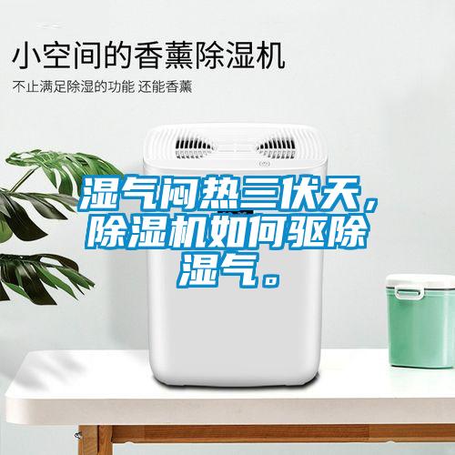 濕氣悶熱三伏天，除濕機如何驅(qū)除濕氣。