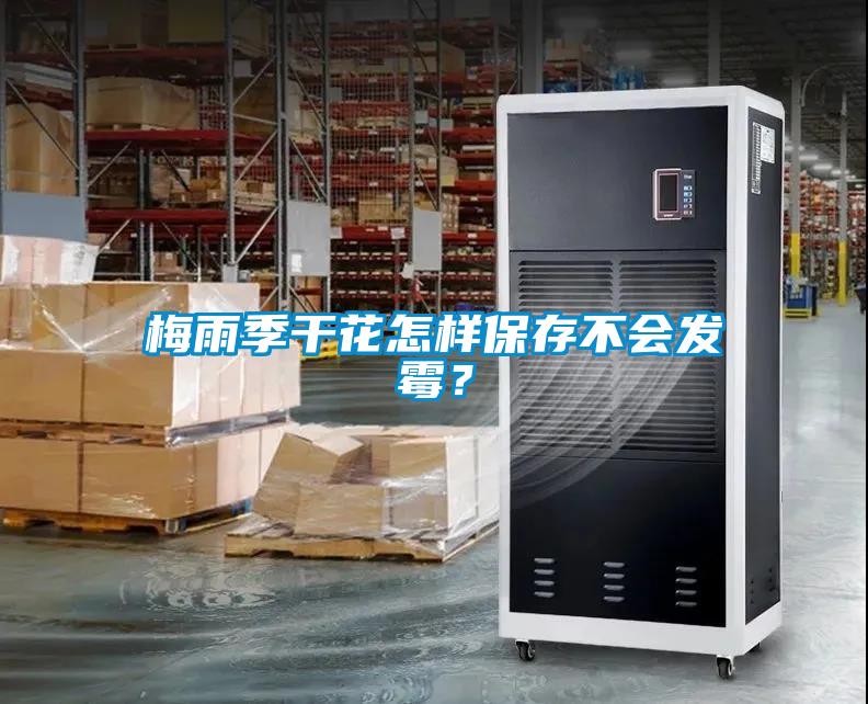 梅雨季干花怎樣保存不會發霉?