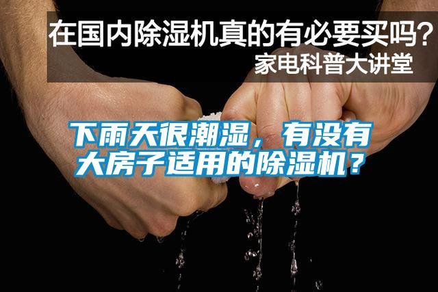 下雨天很潮濕,有沒有大房子適用的除濕機?