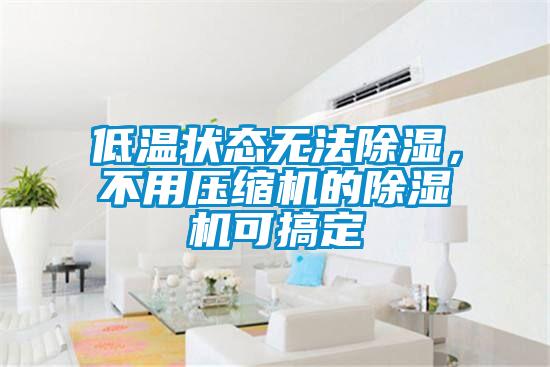 低溫狀態(tài)無法除濕，不用壓縮機的除濕機可搞定