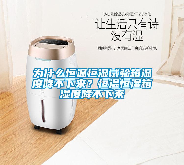 為什么恒溫恒濕試驗箱濕度降不下來？恒溫恒濕箱濕度降不下來