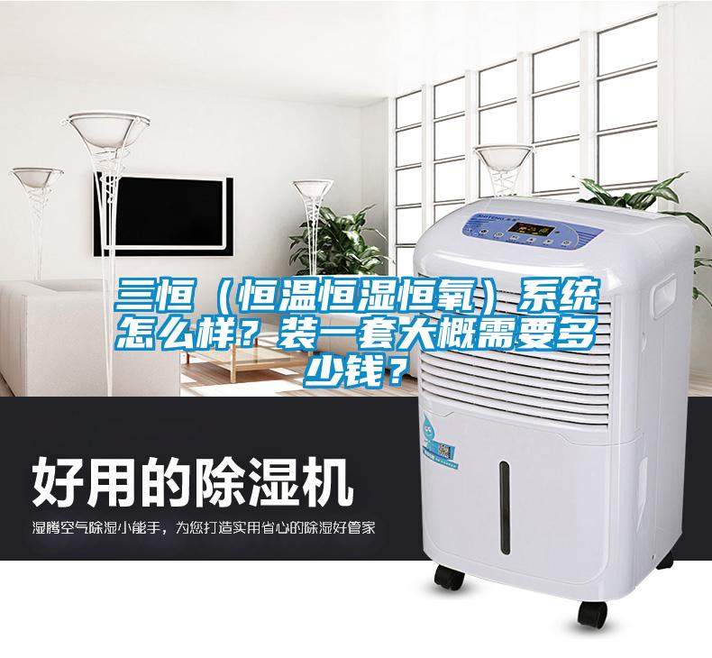 三恒（恒溫恒濕恒氧）系統怎么樣？裝一套大概需要多少錢？