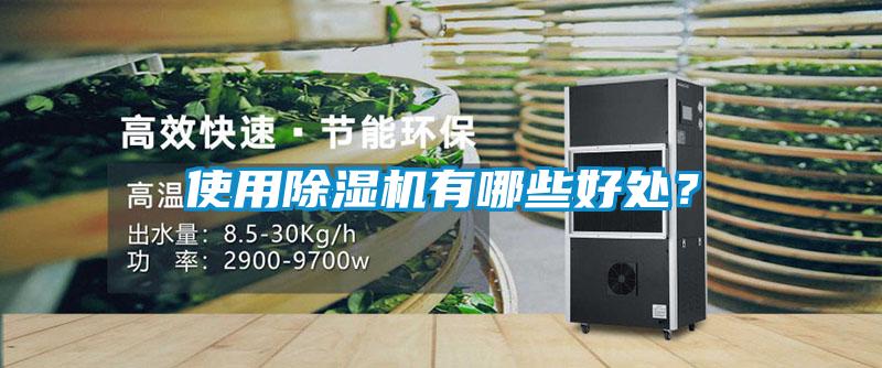 使用除濕機有哪些好處?