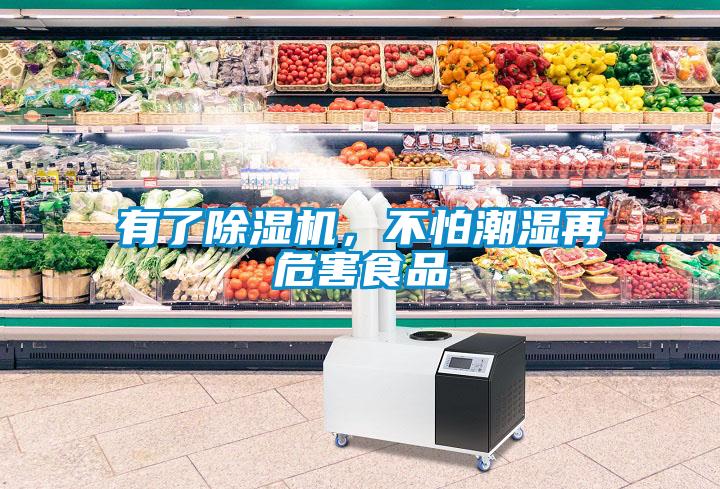 有了除濕機，不怕潮濕再危害食品