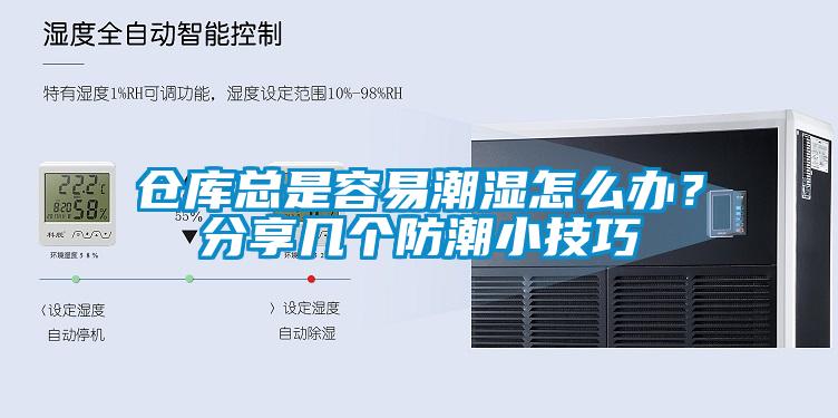 倉庫總是容易潮濕怎么辦?分享幾個(gè)防潮小技巧