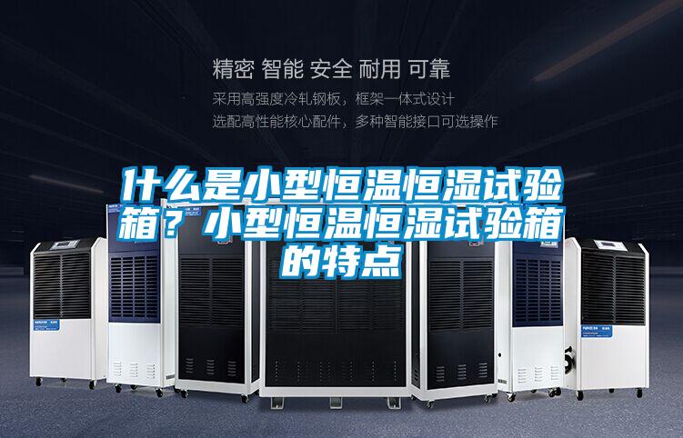 什么是小型恒溫恒濕試驗箱？小型恒溫恒濕試驗箱的特點