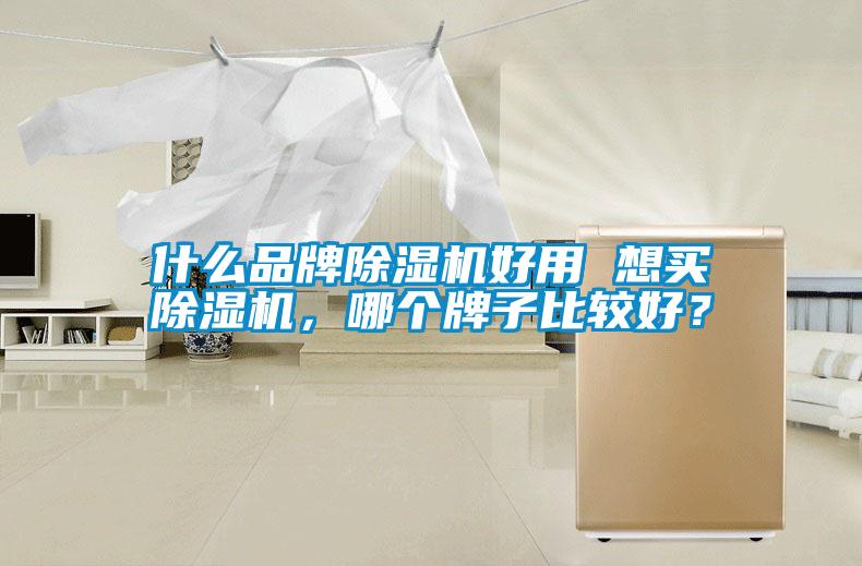 什么品牌除濕機(jī)好用 想買除濕機(jī)，哪個(gè)牌子比較好？