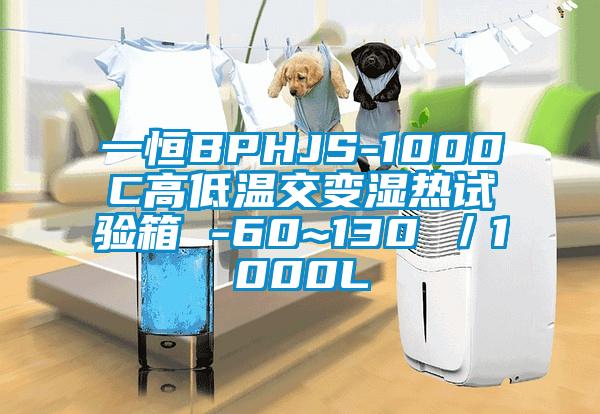 一恒BPHJS-1000C高低溫交變濕熱試驗(yàn)箱 -60~130℃/1000L