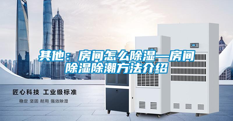 其他:房間怎么除濕—房間除濕除潮方法介紹