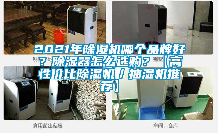 2021年除濕機(jī)哪個品牌好？除濕器怎么選購？【高性價比除濕機(jī)／抽濕機(jī)推薦】