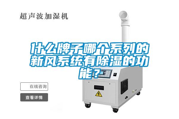 什么牌子哪個系列的新風系統有除濕的功能？