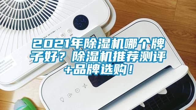 2021年除濕機(jī)哪個(gè)牌子好？除濕機(jī)推薦測評(píng)+品牌選購！