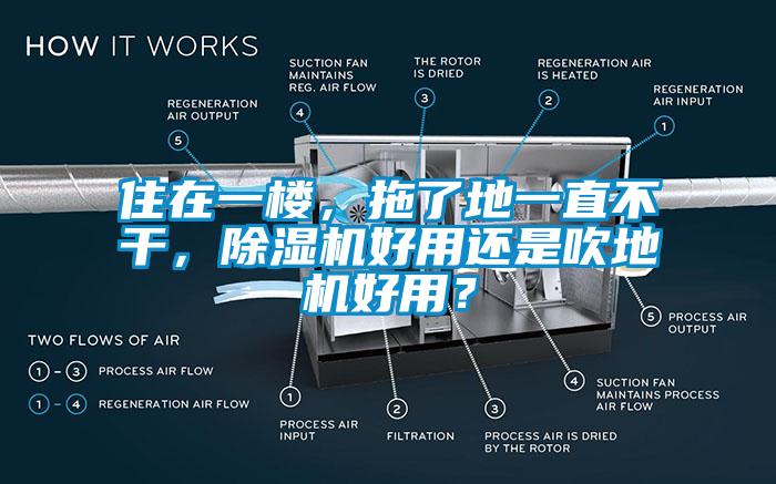 住在一樓,拖了地一直不干,除濕機好用還是吹地機好用?