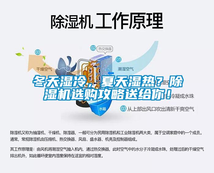 冬天濕冷，夏天濕熱？除濕機(jī)選購(gòu)攻略送給你！
