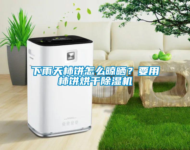 下雨天柿餅怎么晾曬?要用柿餅烘干除濕機