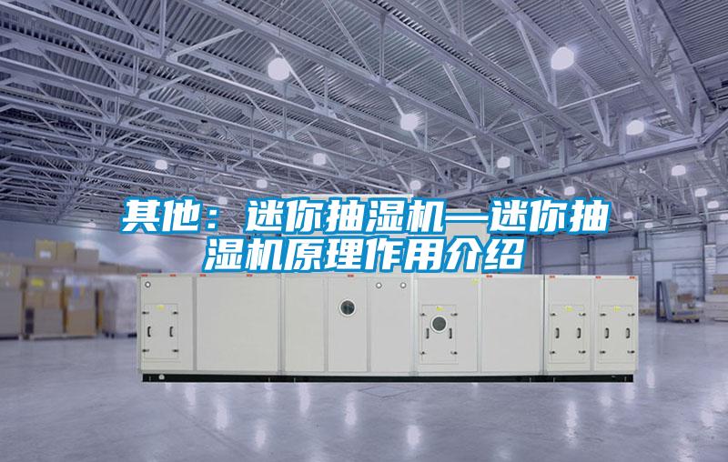 其他:迷你抽濕機—迷你抽濕機原理作用介紹