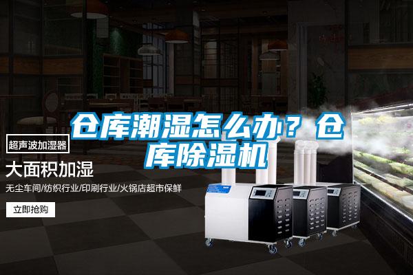 倉庫潮濕怎么辦？倉庫除濕機