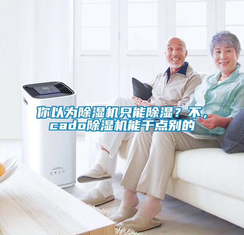 你以為除濕機只能除濕?不,cado除濕機能干點別的