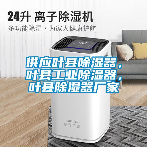 供應葉縣除濕器，葉縣工業(yè)除濕器，葉縣除濕器廠家