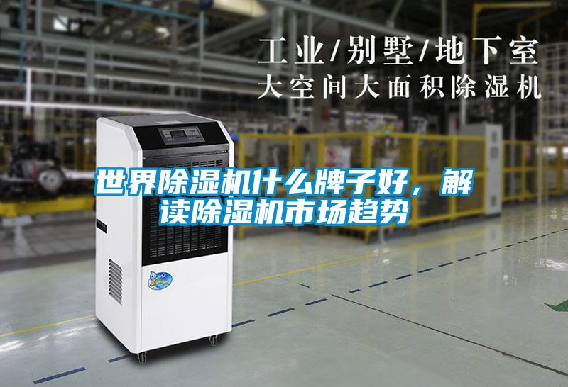 世界除濕機什么牌子好,解讀除濕機市場趨勢