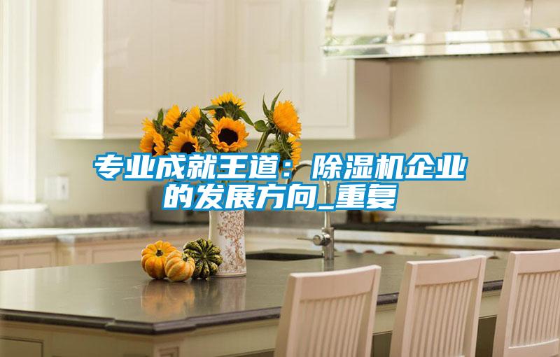 專業(yè)成就王道:除濕機企業(yè)的發(fā)展方向_重復(fù)
